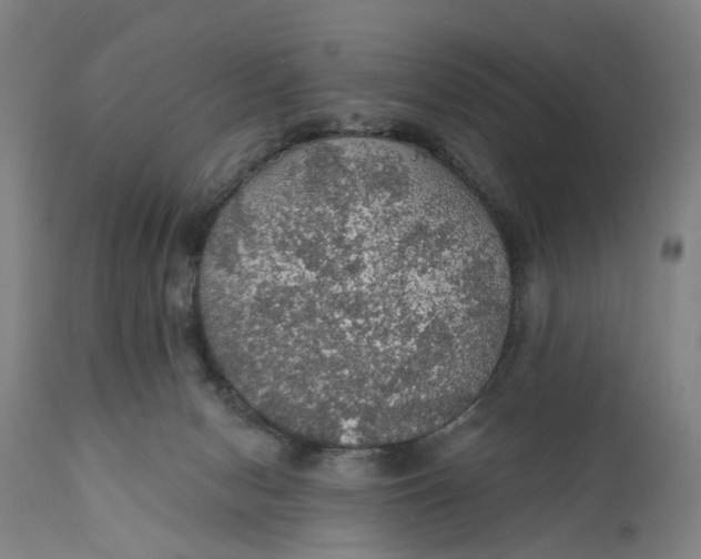 X0000111580078200908061335