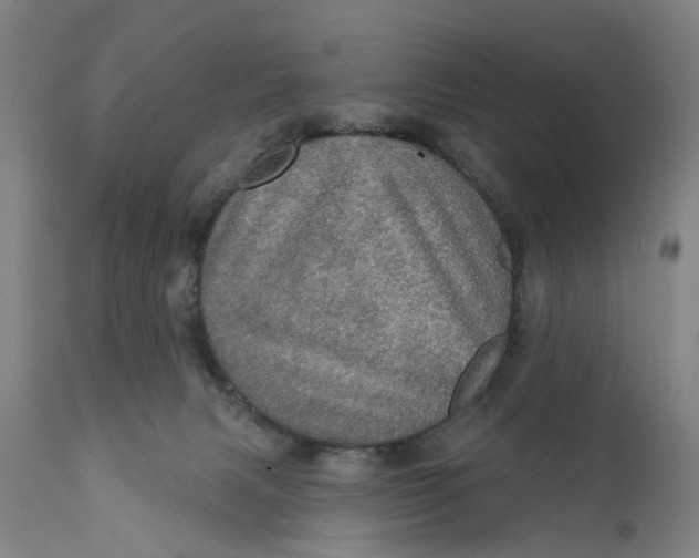 X0000111580079200908061335