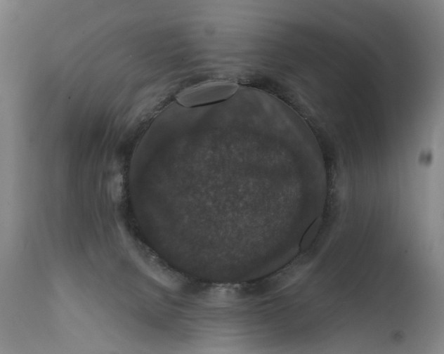 X0000111580080200908061335