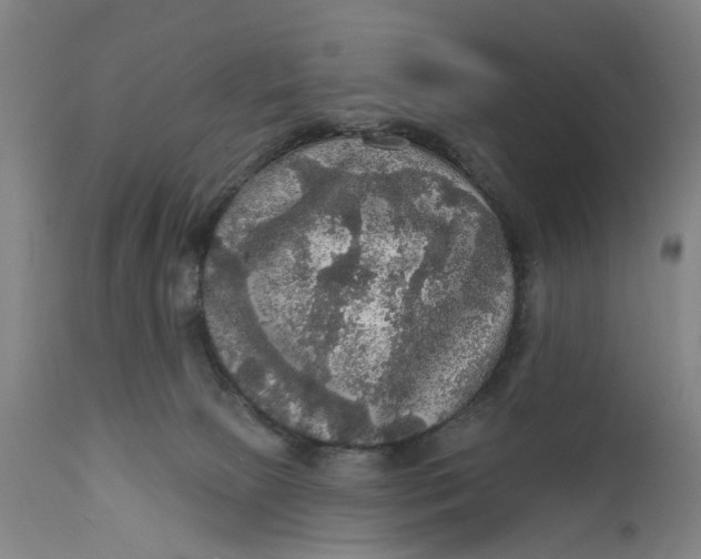 X0000111580081200908061335