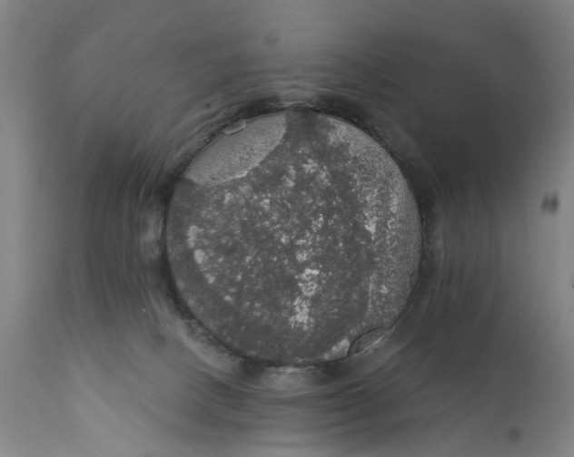 X0000111580082200908061335