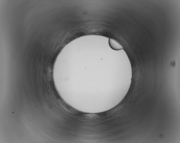 X0000111580087200908061335