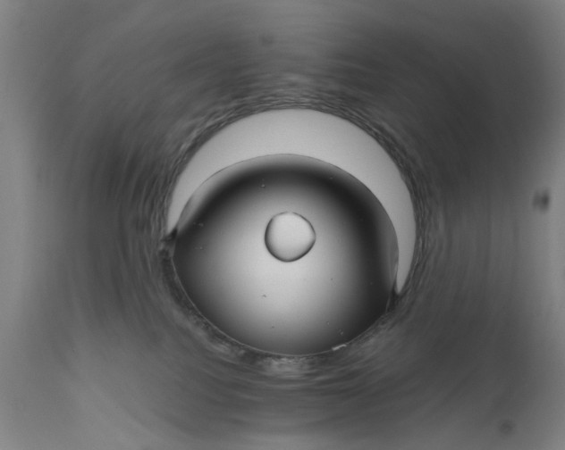 X0000111580088200908061335