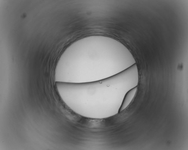 X0000111580089200908061335