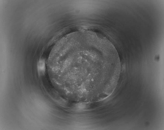 X0000111580094200908061335