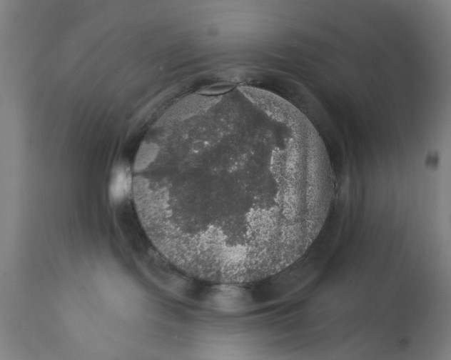 X0000111580095200908061335