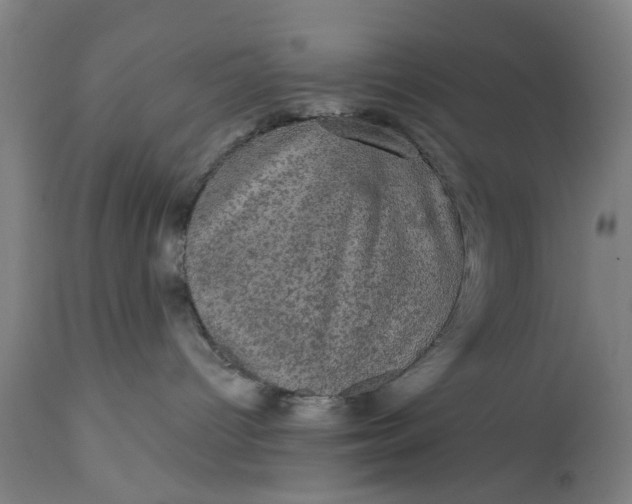 X0000111580096200908061335