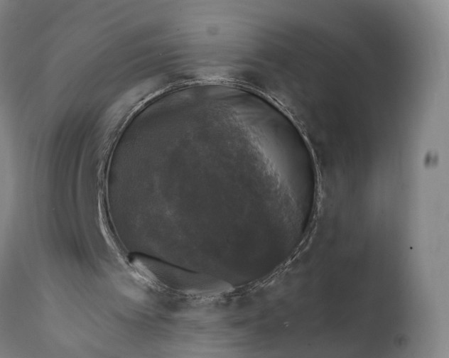 X0000111580097200908061334