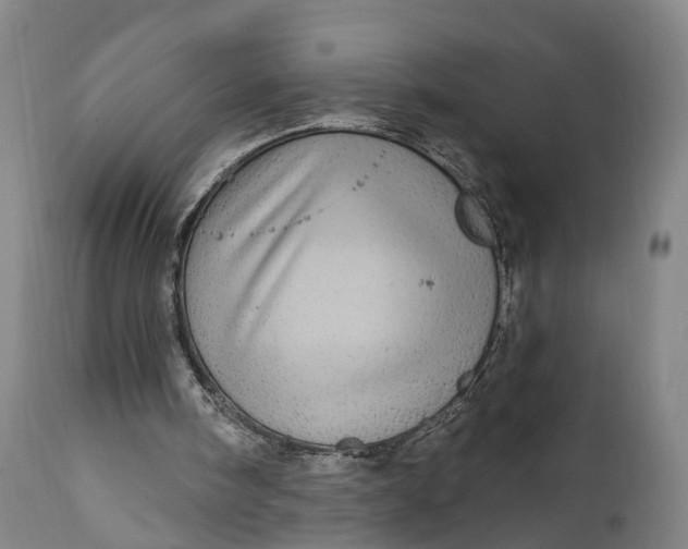 X0000111580098200908061334