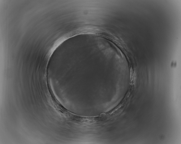 X0000111580099200908061334