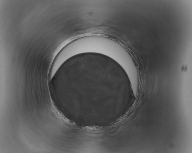 X0000111580100200908061334