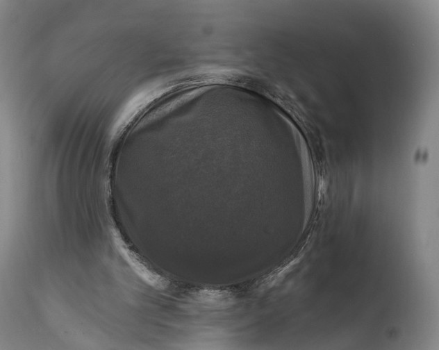 X0000111580101200908061334