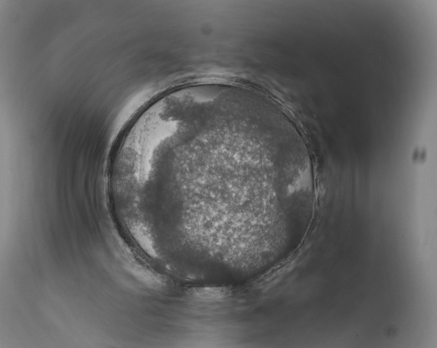 X0000111580102200908061334