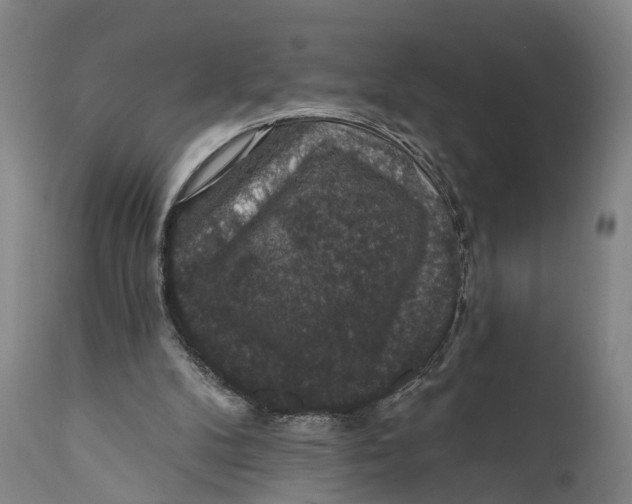 X0000111580104200908061334