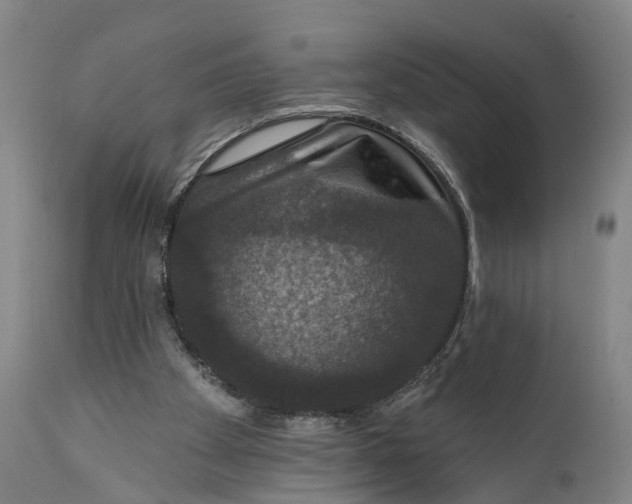 X0000111580105200908061334