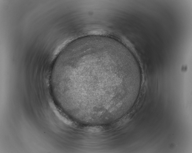 X0000111580106200908061334