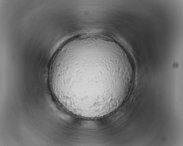 X0000111580107200908061334