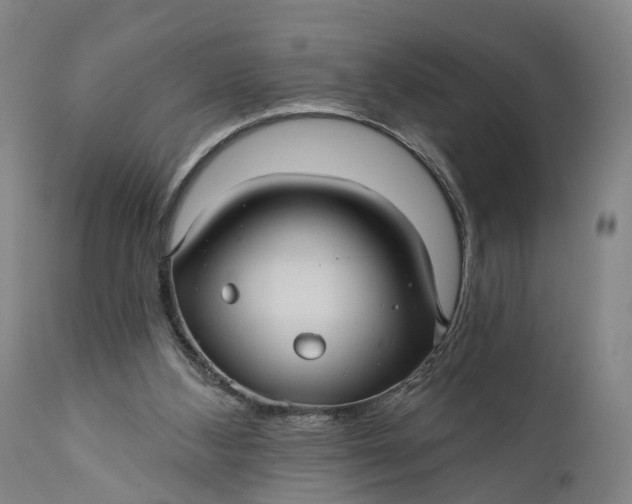 X0000111580108200908061334