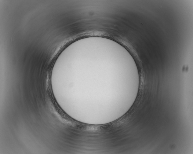 X0000111580110200908061334