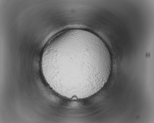 X0000111580111200908061334