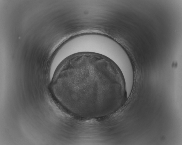 X0000111580112200908061334