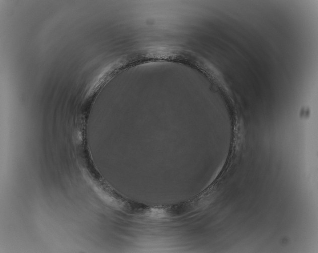 X0000111580114200908061334