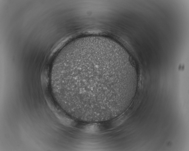 X0000111580116200908061334