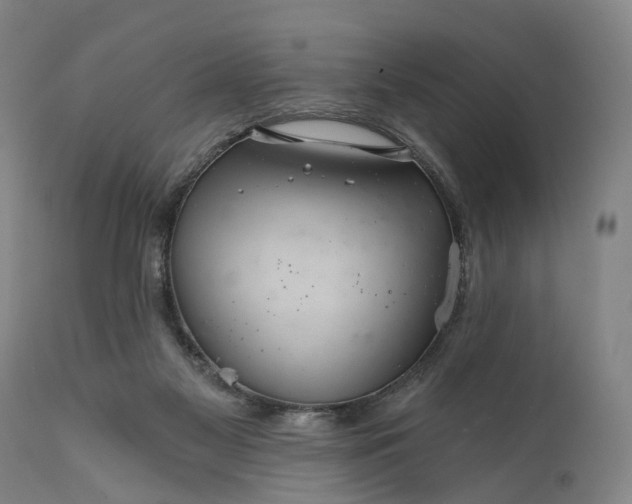 X0000111580117200908061334