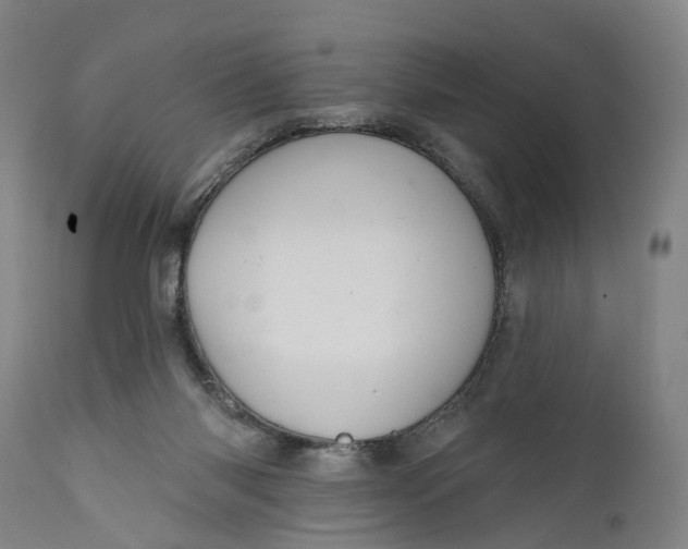 X0000111580118200908061334