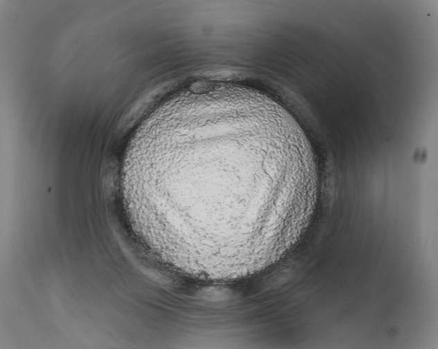 X0000111580119200908061334