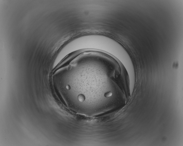 X0000111580120200908061334