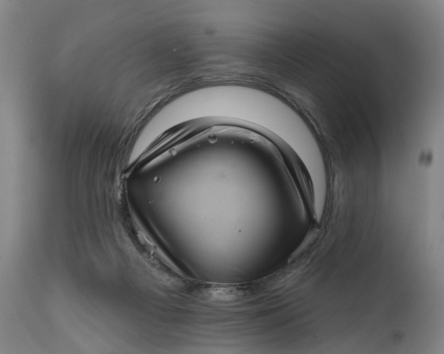 X0000111580121200908061334