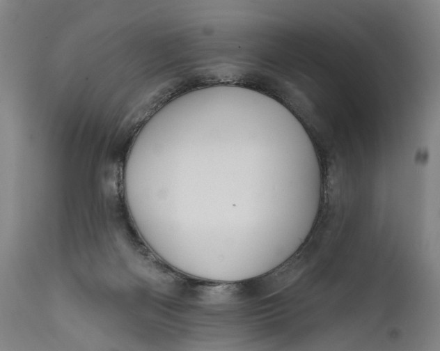 X0000111580122200908061334