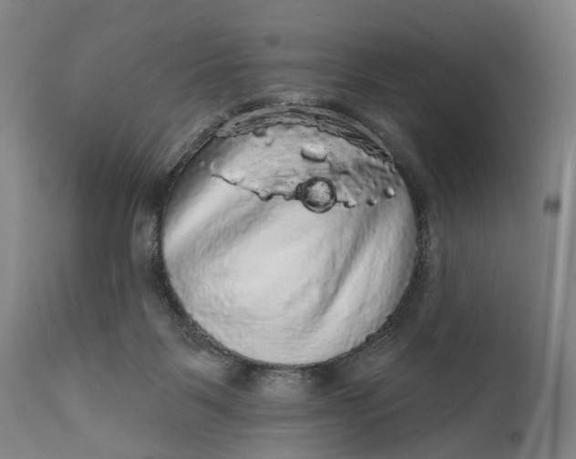 X0000111580123200908061334