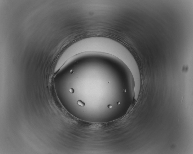 X0000111580124200908061334