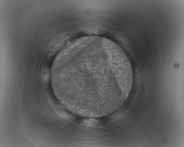 X0000111580125200908061334