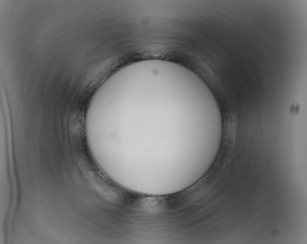 X0000111580126200908061334