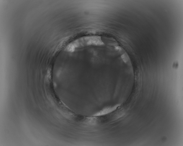 X0000111580127200908061334