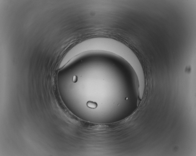 X0000111580128200908061334