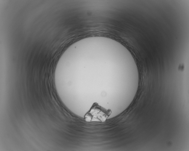 X0000111580129200908061334