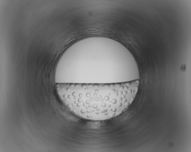 X0000111580131200908061334