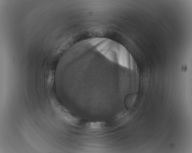 X0000111580134200908061334