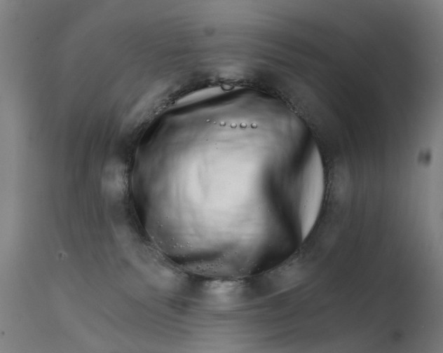 X0000111580135200908061334