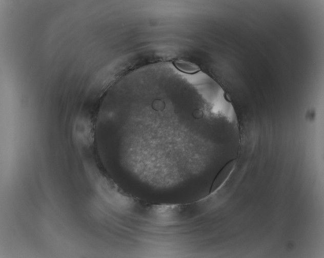 X0000111580136200908061334