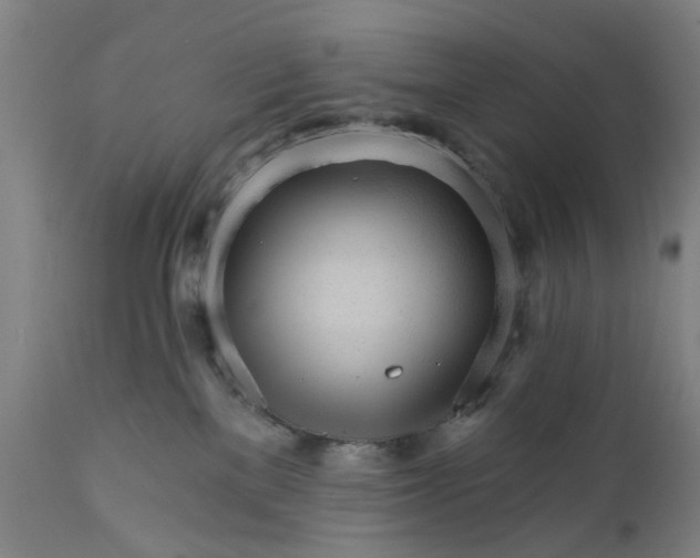 X0000111580137200908061334