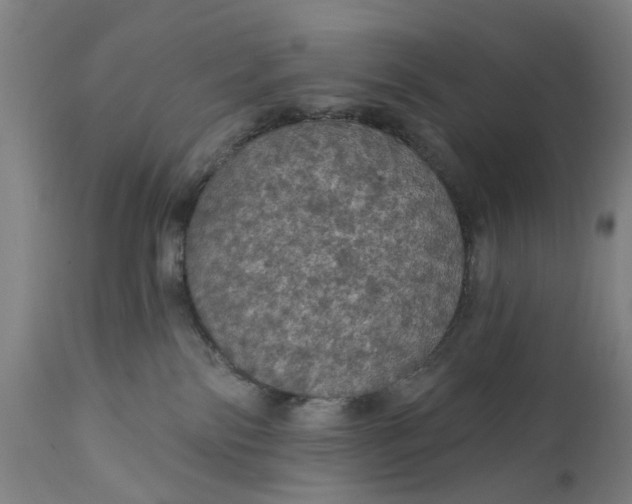 X0000111580138200908061334