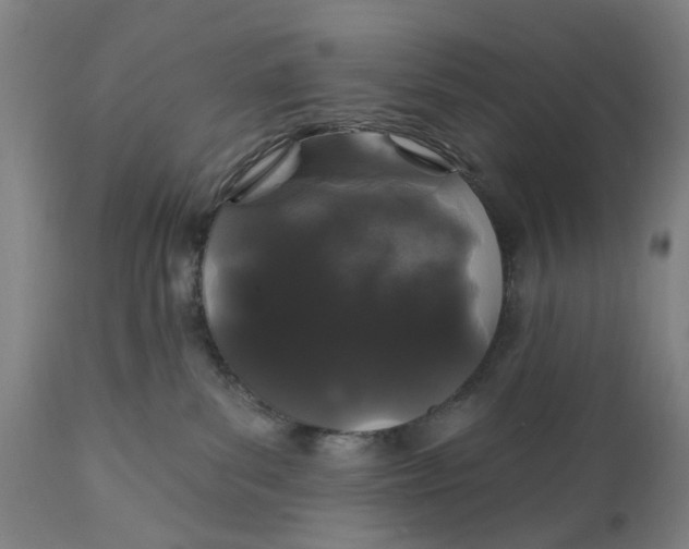 X0000111580139200908061334