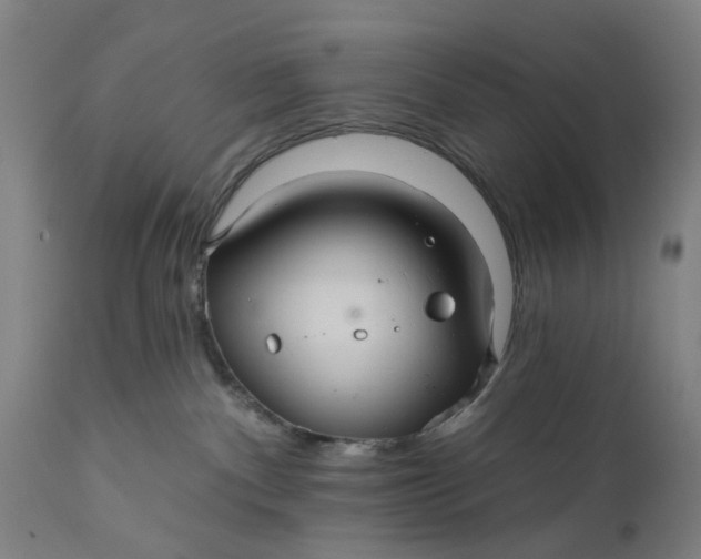 X0000111580140200908061334