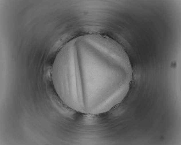 X0000111580141200908061334