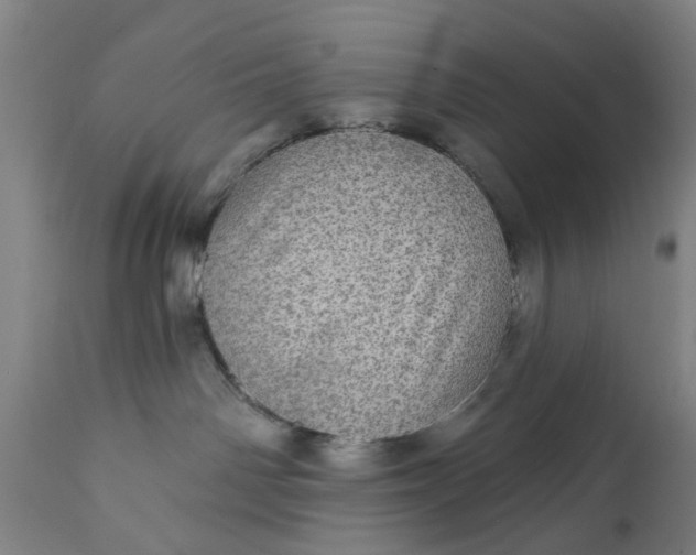 X0000111580142200908061334